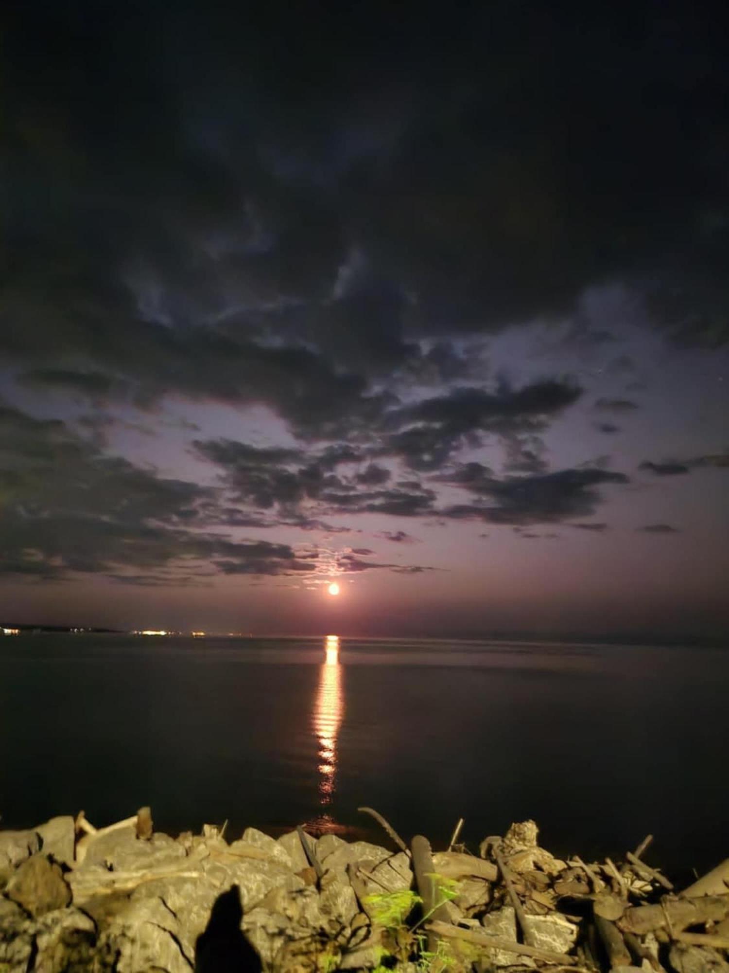 Motel Leblanc Carleton-sur-Mer Bagian luar foto